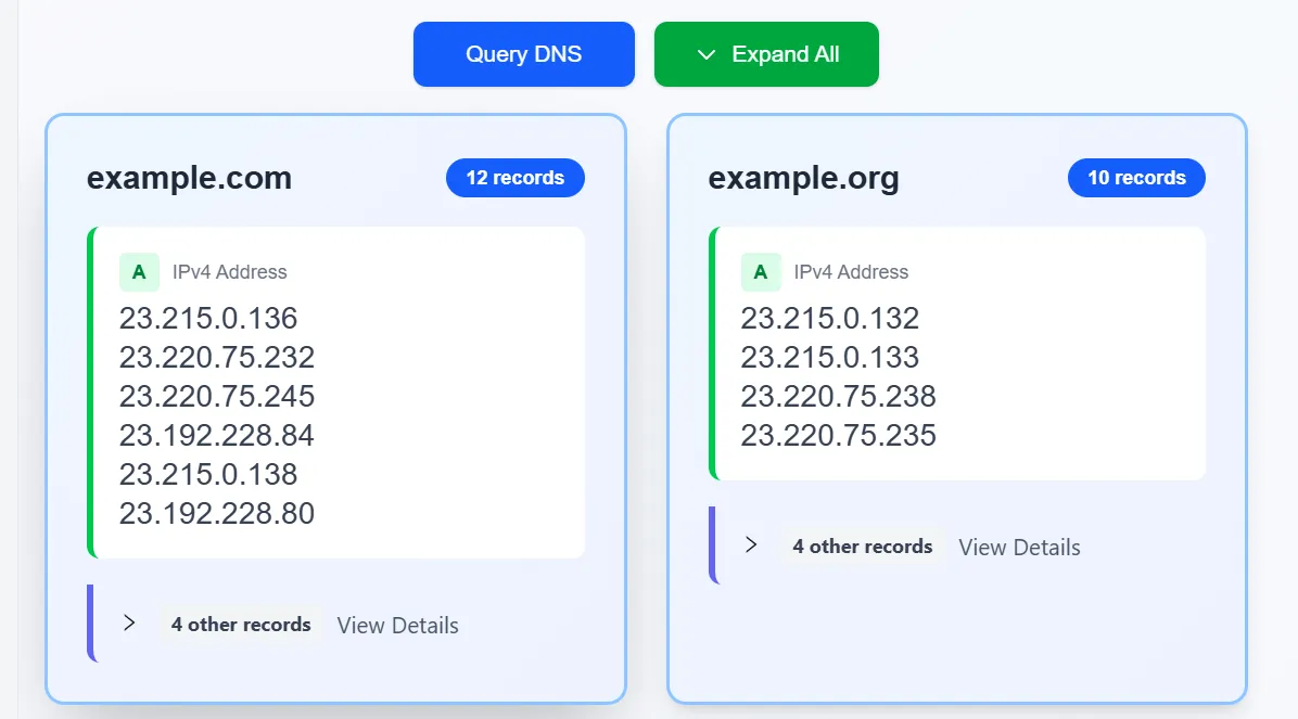 Domain DNS Checker Results - Sample Output