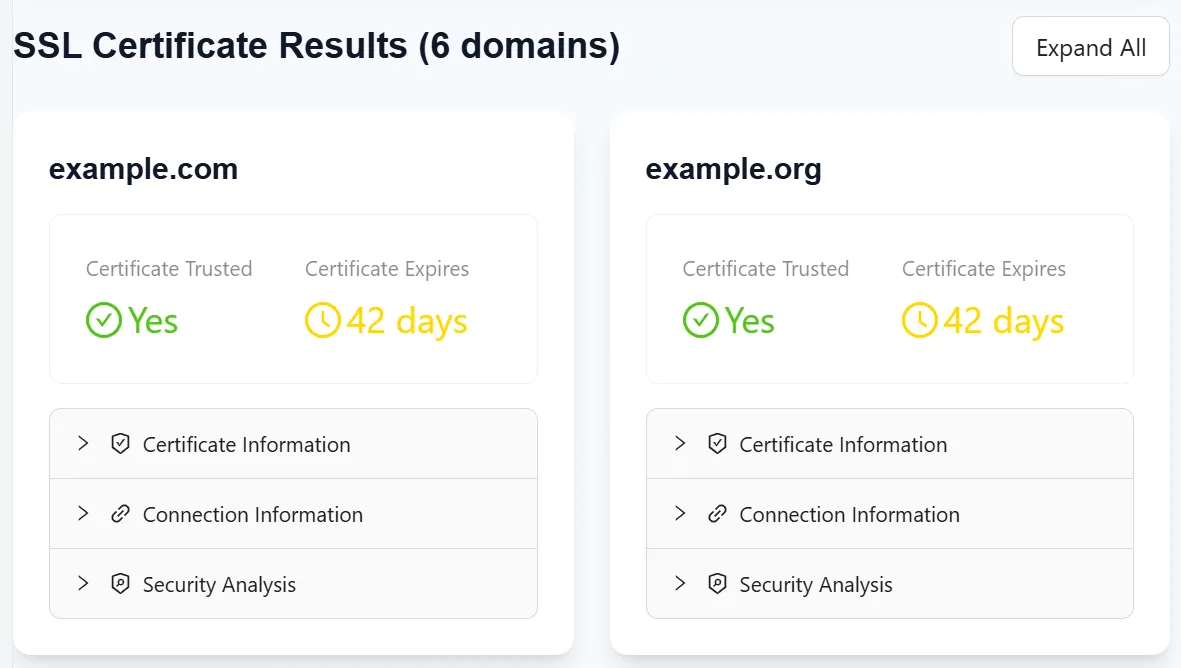 Domain SSL Checker Results - Sample Output